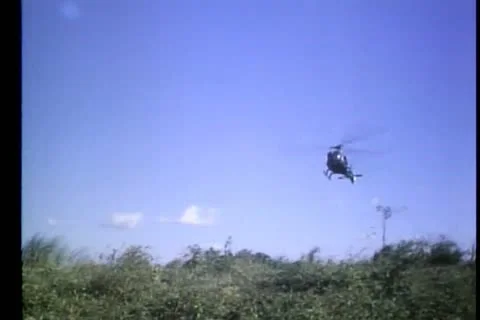 Low angle view helicopter landing in field Stock Footage
