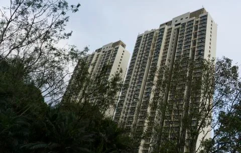 Low-angle view of high-rises with trees in foreground Foto stock