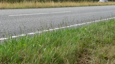 Low Angle View of Highway Traffic Through Green Grass in Summer Видео 340774591