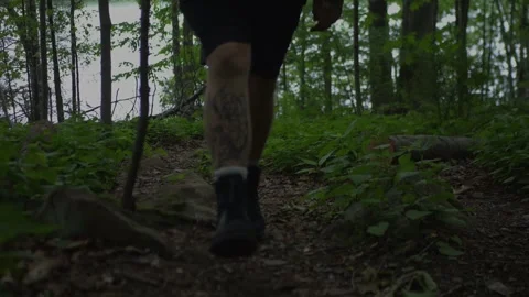 Low-angle view of a hiker walking uphill with a wooden stick... Video stock 336193513