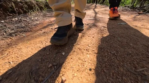 Low Angle View of Hikers Walking on Dirt Trail in Australia Stock Footage 345457823