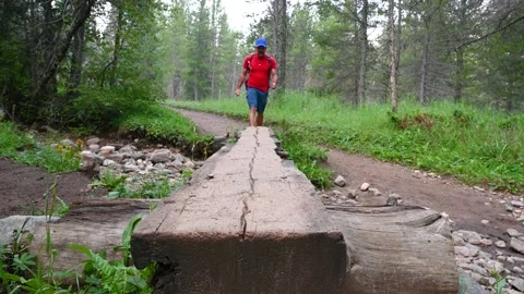 Low angle view of hiking across a log Stock Footage 158902847