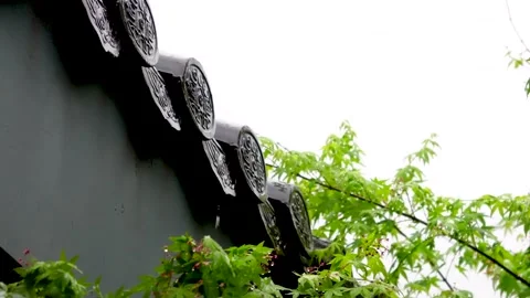 Low Angle View of Historic Asian Roofline and Trees Stock Footage 346109571