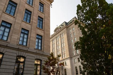Low angle view of historic Beaux-arts buildings 写真素材