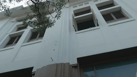 Low angle view of a historic white building facade with classic windows and tree Video stock 343424861