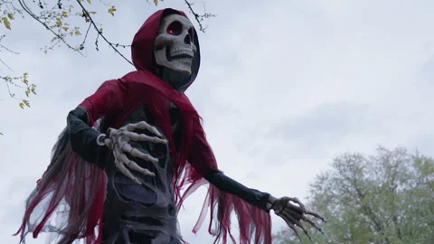 Low Angle View of Hooded Skeleton Halloween Decoration Stock Footage 343882985