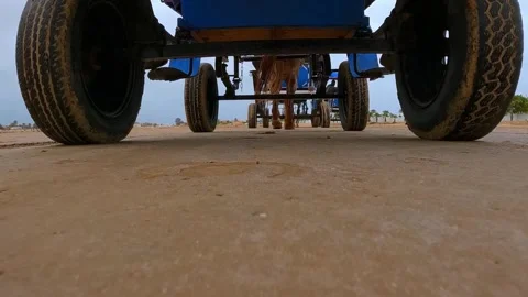 Low-angle view of horse pulling blue carriage on unpaved road Stock Footage 279873720