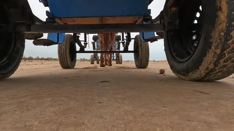 Low-angle view of horse pulling blue carriage and rotating wheels Vídeos de archivo 279873822