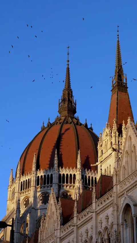 Low-angle view of the Hungarian Parliament with birds flying around Vídeos de archivo 334775187
