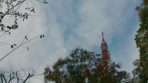 Low angle view of the iconic red Tokyo Tower Stock Footage 329617695