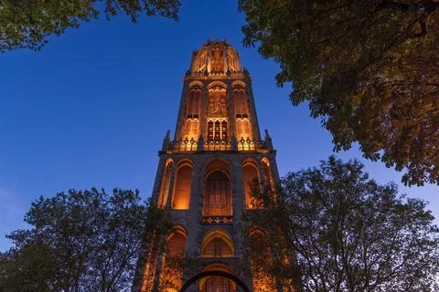 Low angle view of the illuminated Gothic Dom Tower in Utrecht, framed by tree Foto stock