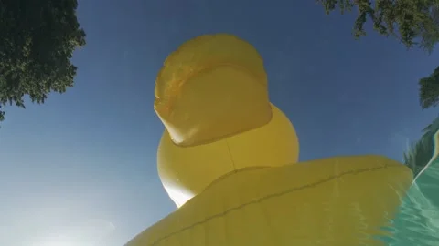 Low angle view of inflatable duck ring on water surface Stock Footage 348243341
