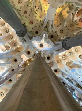 Low angle view of the interior columns, leading to the ceiling of Sagrada Famili Stock Photos