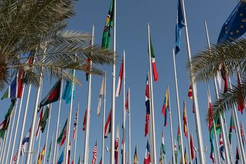 Low-Angle view of International Flags Framed by Palm Trees at Flag Plaza, D.. 写真素材
