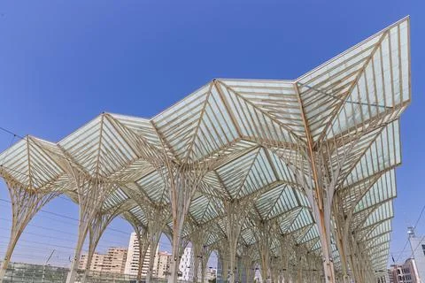 A low-angle view of the intricate, bone-like roof structure of the Estacao do Stock Photos