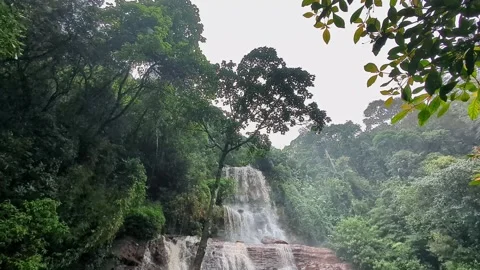 Low angle view of jhari waterfall cascading over rocky cliffs amid lush tro.. Stock-Footage 346817052