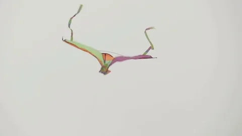 Low angle view of kite in sky Stock-Footage 70201645