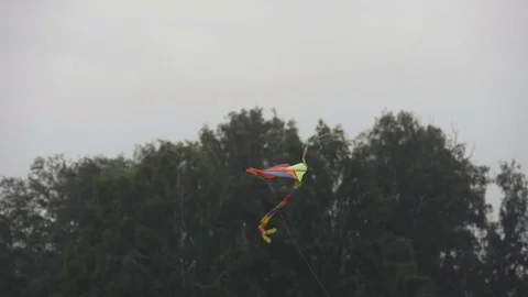 Low angle view of kite in sky Stock Footage 70202138