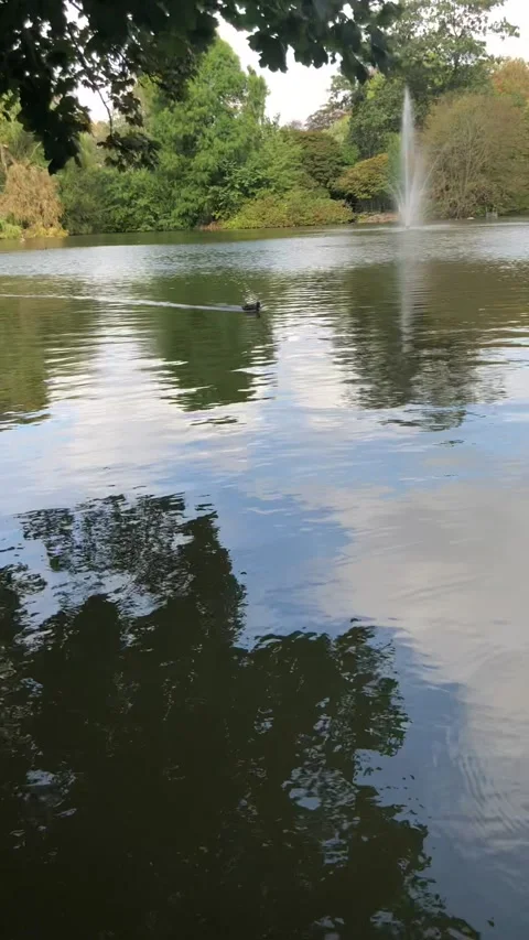 Low angle view of lake in park Stockbeeldmateriaal 140979978