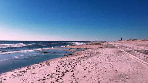A low angle view of a large flock of sandpipers sunbathing on an empty Stock Footage 264801281