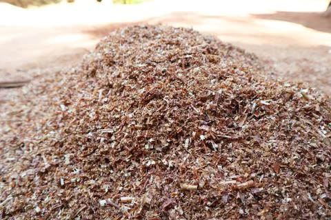 Low-angle view of a large mound of brown wood shavings and sawdust outdoors Stock Photos