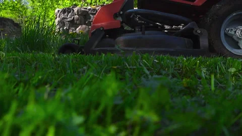 Low Angle View of Lawn Mower Tractor Cutting Green Grass in the Backyard Vídeos de archivo 336651999