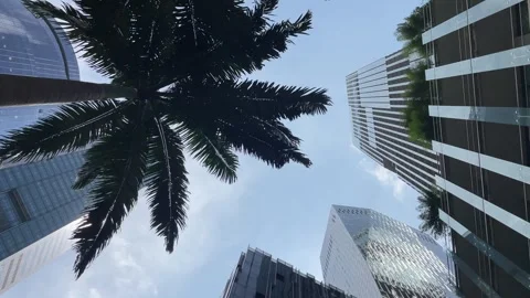Low angle view looking up in downtown in Singapore Stock-Footage 256974778