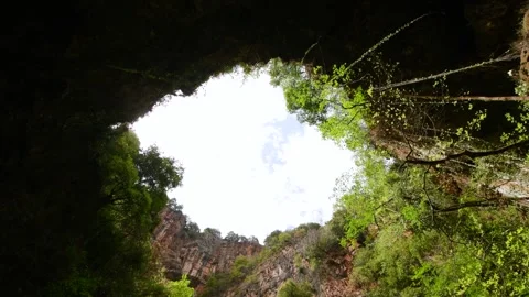 Low angle view looking up from inside a deep natural limestone sinkhole cavern Video stock 341941746
