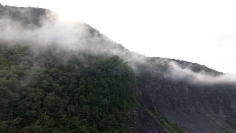 Low angle view looking up at misty cloud covered green forest mountain cliff in Stock Footage 345677569