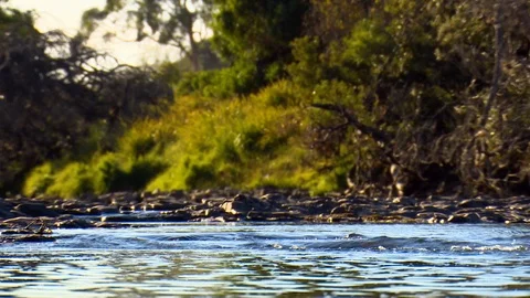 Low angle view looking up a rocky riverbed Stock Footage 112353913