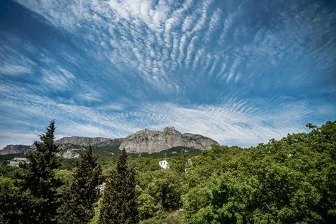 Low-angle view of Lush forest with tall trees, small houses, and rugged mou.. Stock Photos
