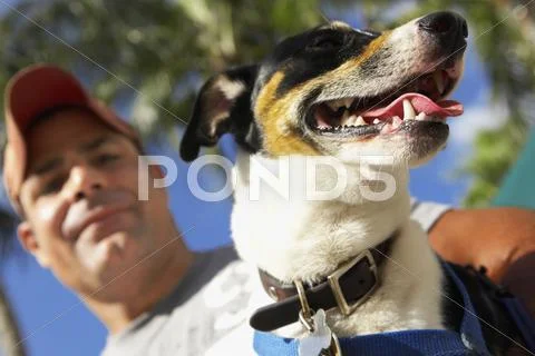 Low angle view of man and dog Stock Photos