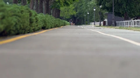 Low angle view of a man exercising his dogs Stock Footage 112148285