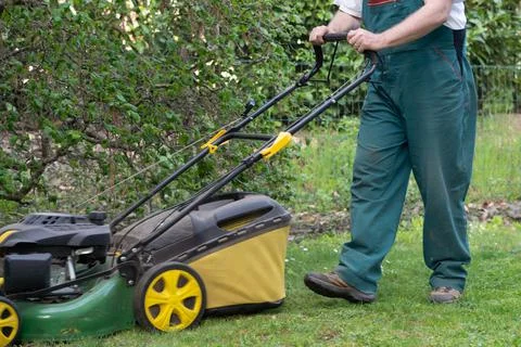 Low angle view of man pushing lawnmower through small backyard in spring. Stock Photos