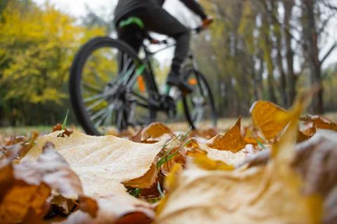 Low angle view of man riding a mountain bike in the park Stock-Fotos