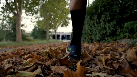 Low angle view of man running on fall leaves. Stock Footage 80925477