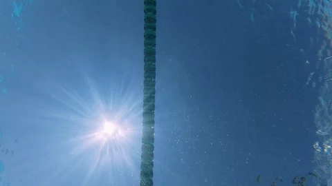 Low Angle View of Man Swimming Backstroke in Pool Under Sun Stock-Footage 342015795