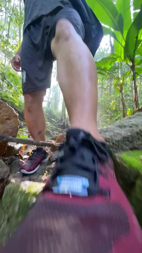 Low angle view of a man's legs and trail running shoes moving along a woodland c Vídeo Stock 348420891
