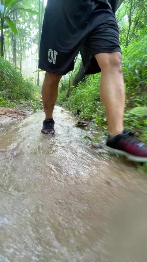 Low angle view of a man's legs and trail running shoes moving along a woodland c Vídeo Stock 348420893