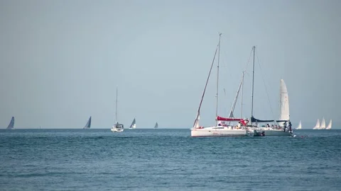 Low angle view of many sailboats sailing in Adriatic Sea Stock Footage 161654606