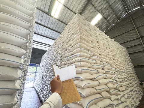 Low Angle View of Massive Stacks of White Sacks in Industrial Warehouse Stock Photos