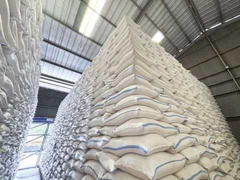 Low Angle View of Massive Stacks of White Sacks in Industrial Warehouse Foto stock