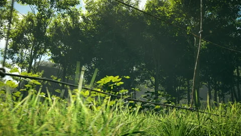Low-angle view of a metal fence in the forrest. Video stock 309070815