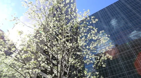 Low angle view of modern building Stock Footage 50007333