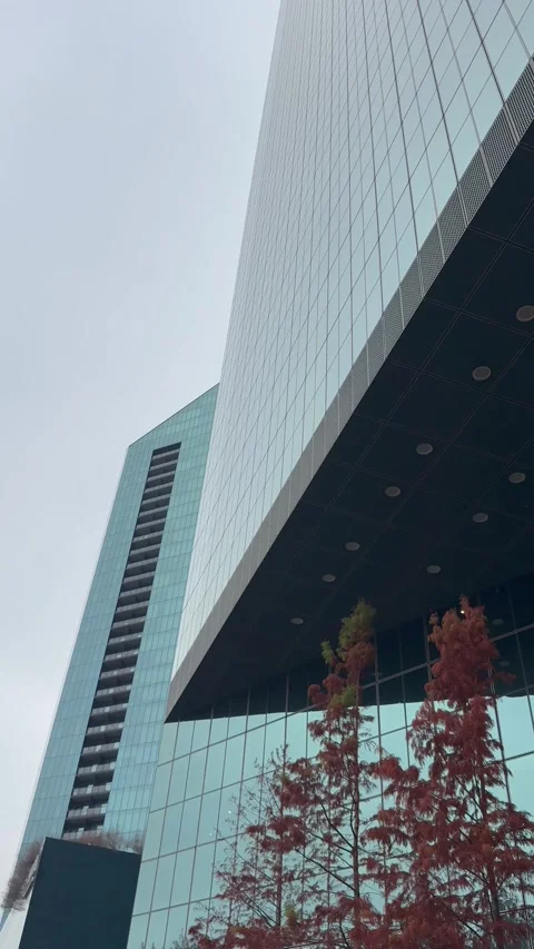 Low Angle View of Modern Glass Office Building Stock Footage 344596551