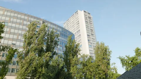 Low Angle View of Modernist Skyscraper Buildings and Green Trees at Front de Sei Stock Footage 339034170