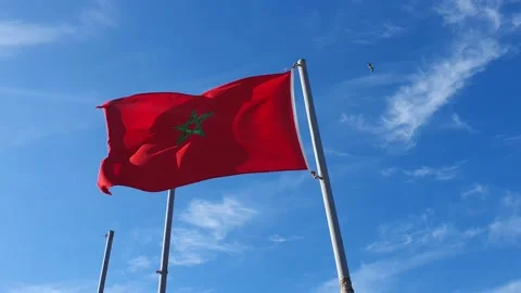 Low angle view of the Moroccan Flag waving - Casablanca, Morocco 스톡 동영상 201218178