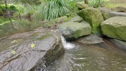 Low Angle View of Mossy Rock Stream - Australia Stock Footage 310942744