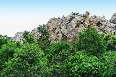 Low Angle View of Mountain and Trees Against Clear Sky Stock Photos