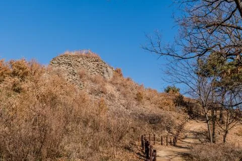 Low angle view of mountain forest wall Stock Photos